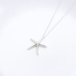 【Angel & Me】海洋 海星 starfish s925 純銀項鍊 生日 情人節 聖誕節 禮物, , large