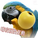 金德恩 GS MALL 台灣製造 寵物飼料點心盒 寵物雞蛋球 雞蛋球盒 點心盒 飼料盒 容器 飼料盒 LIXIT 雞蛋球造型, , large