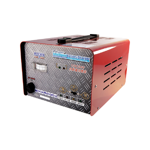 FEB-1224-20 12V/24V 汽貨車專用全自動鉛酸電池充電器