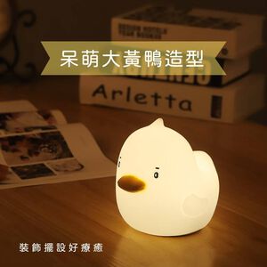 Colorful silly duck patting lamp