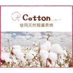 【現貨】MIT台灣製童話抗菌紗布童巾-小紅帽 HP6012, , large