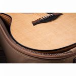 instrument, , large