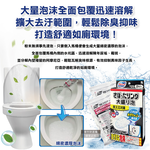 Kobayashi Toilet Bowl Cleaning Powder 110gx2, , large