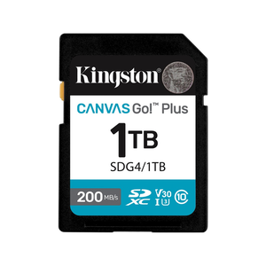 Kingston SD Card