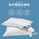 【多利寶寢具】皮斯佐丹_新一代飯店專用緹花羽絨枕(1顆), , large