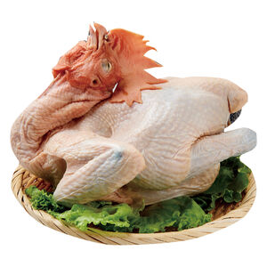 家樂福嚴選冷藏台東古早雞(每隻約1.6~2.0公斤)※本商品保存期限為7天，因配送關係到府後使用期限3天