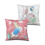 【世豐】PETER RABBIT 比得兔田園趣抱枕-田園趣(桔), , large