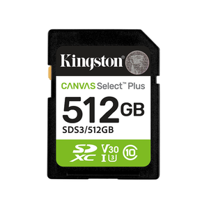 Kingston SD Card
