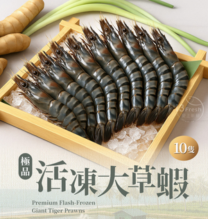 【愛上新鮮】極品活凍大草蝦