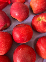 Honey Fuji Apple, , large