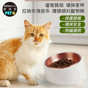 Pet Bowl