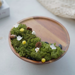 【paipaipets】Miniature Prairie-Green, , large