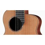 instrument, , large