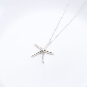 【Angel & Me】海洋 海星 starfish s925 純銀項鍊 生日 情人節 聖誕節 禮物