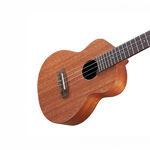 instrument, , large