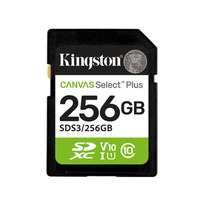 Kingston SD Card