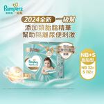 PMS ICB R2 POMEPACK(1NB+2S), , large