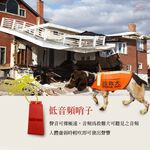 金德恩 GS MALL 二組 六合一地震防災急救避難包 戰爭急救包 隨機出貨 戰爭包 避難包 地震避難包 避難包 地震包 防災避難包, , large