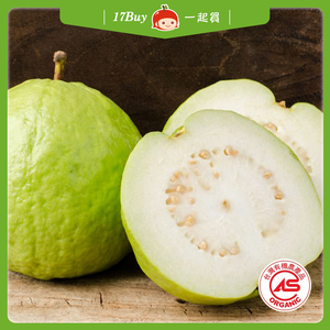 【一起買】產地直送 - 有機珍珠芭樂 約12-15顆 / 4.8kg(箱),  【一起買】產地直送 - 有機珍珠芭樂 約12-15顆 / 4.8kg(箱)