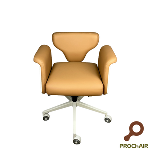 Loop ergonomic chair