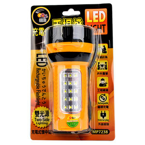 Dual light source LED rechargeable