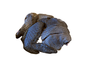【有心肉舖子】黃金土雞 烏骨雞切塊 500g