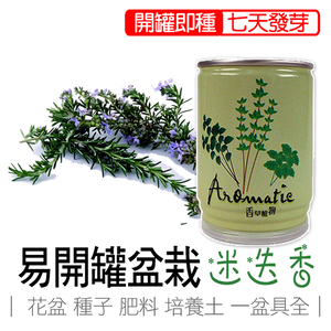 【心安購物】iPlant易開罐盆栽-迷迭香