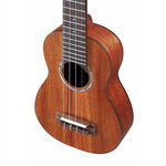 instrument, , large