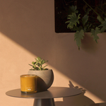 wxy ROAM- Olive . Lemon . Sun, , large