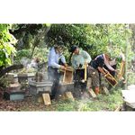 [皇廷] Competition level longan honey 3000g（CERTIFIED DOCUMENT . TAP）, , large