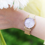 CITIZEN 星辰 L系列 非洲菊 光動能氣質大三針米蘭帶女錶 EM0818-82X, , large