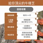 【FJ豐傑生醫】牛樟芝菌絲體膠囊30顆/袋-全球領先通過美國NDI核准上市牛樟芝, , large