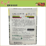 【向花緣】天星牌 大花滿天星 - 花卉種子, , large