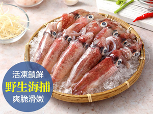 【i3Fresh】frozen Neritic Squid (3box)