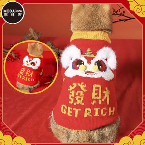 pet clothes