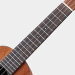 instrument, , large