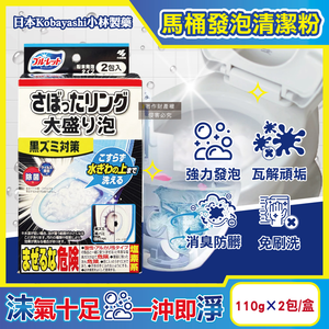 Kobayashi Toilet Bowl Cleaning Powder 110gx2