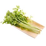 Celery, , large