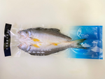 Fourfinger threadfin, , large