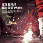 便攜電焊機/MMA-250 220V全配款, , large