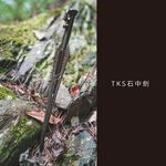 30cm Stainless Steel Casting Peg, , large