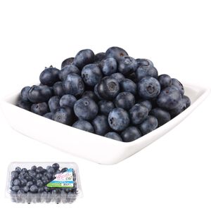 Boxed Blueberry-L size