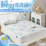 【FOCA】Moxia | Graphene antibacterial breathable natural latex cooling pad/cooling mat/multi-function pad (gift: same style pillowcase) - single, , large