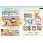 [小牛頓]PLAY&LEARN：沙漠冒險 適合5-8歲 平裝全彩 高階遊戲書, , large