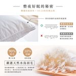 DUYAN竹漾 枕頭 -法國天然水鳥羽絨枕 台灣製, , large