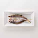 Fourfinger threadfin, , large