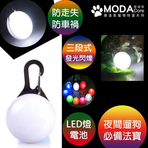 LED light up dog collar