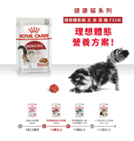 【拉拉寵物小舖】法國皇家 貓主食餐包 F32W 理想體態貓主食濕糧 貓主食濕糧, , large