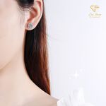 【CF鑽飾】耳環 莫桑鑽《經典海瑞》50分, , large