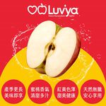 Ambrosia Apple#90, , large
